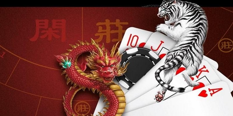 Bài rồng hổ là gì?